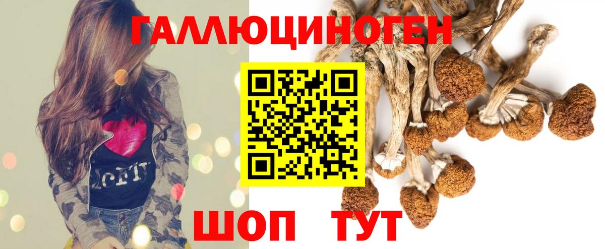 Псилоцибиновые грибы Psilocybe Городец