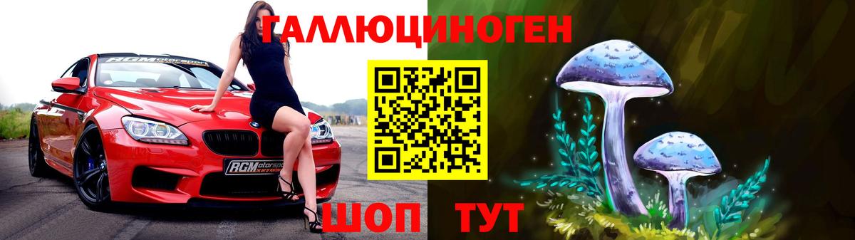 Псилоцибиновые грибы прущие грибы  Вход с VPN  Псилоцибиновые грибы мицелий  Городец 
